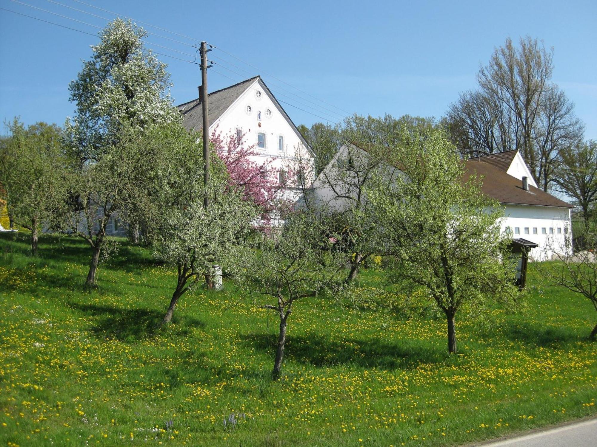 Rotthalmuenster Comfortable Apartments In Rotthalm Nster מראה חיצוני תמונה