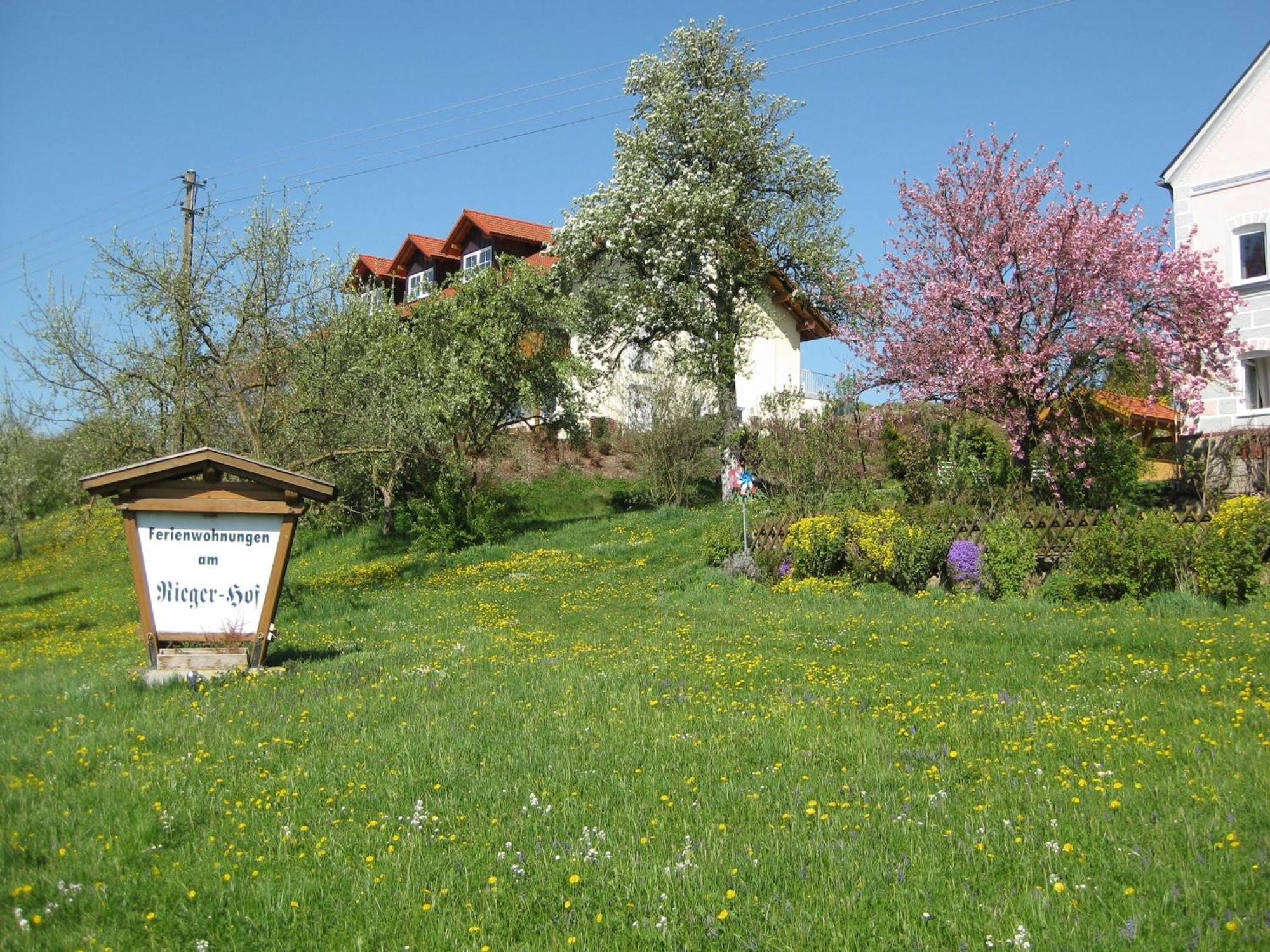 Rotthalmuenster Comfortable Apartments In Rotthalm Nster מראה חיצוני תמונה