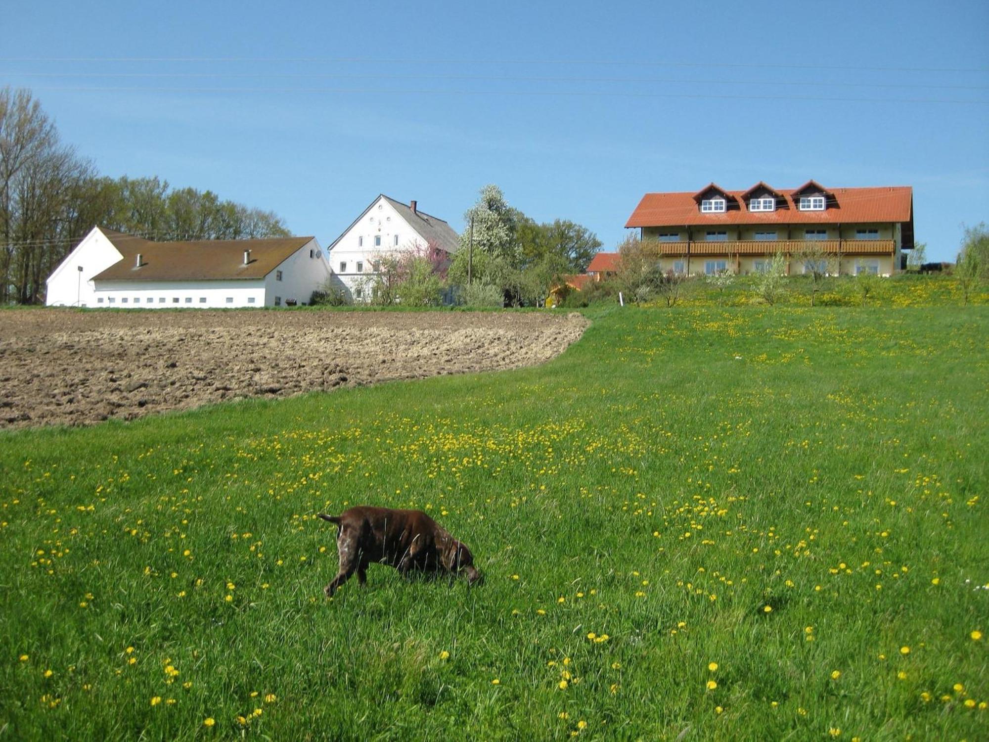 Rotthalmuenster Comfortable Apartments In Rotthalm Nster מראה חיצוני תמונה